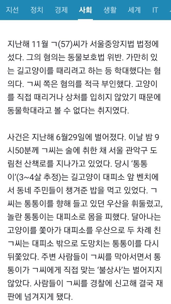 법원 : 물리적(직접적) 가해가 없었더라도 길고양이를 위협한 경우 벌금형 | 인스티즈
