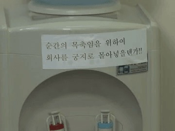 소 정수기 경고문 레전드 | 인스티즈