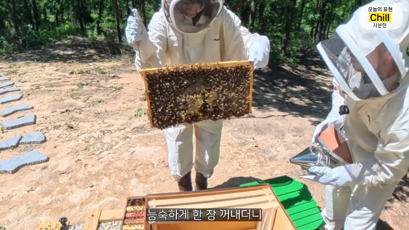 양봉 시작한 올리버쌤 근황.jpg | 인스티즈