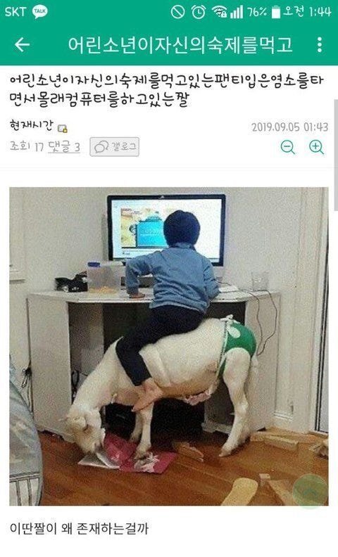 어깨가 평양이세요 | 인스티즈