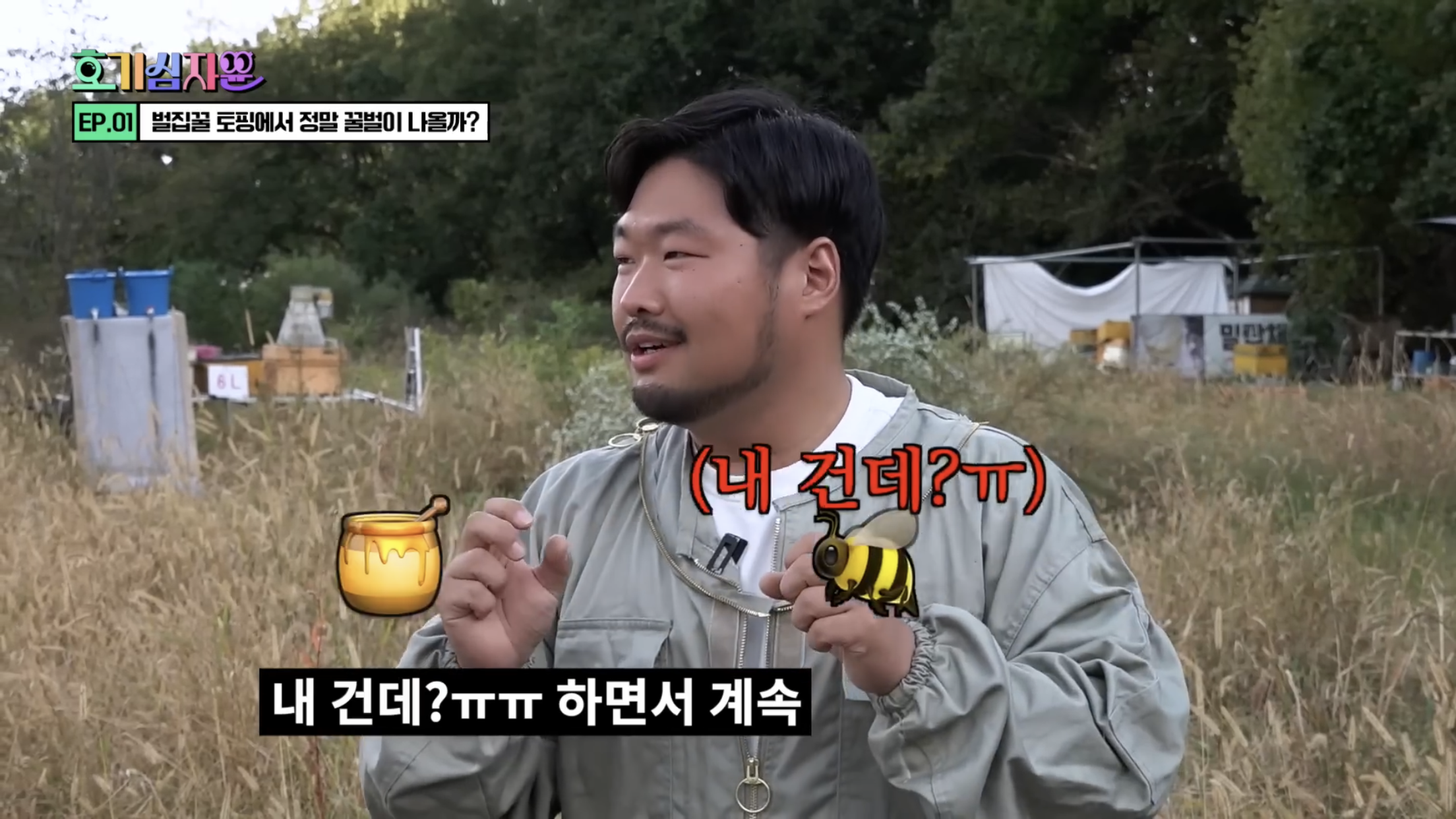 요거트 아이스크림 벌집꿀에서 나오는 벌의 정체............jpg | 인스티즈