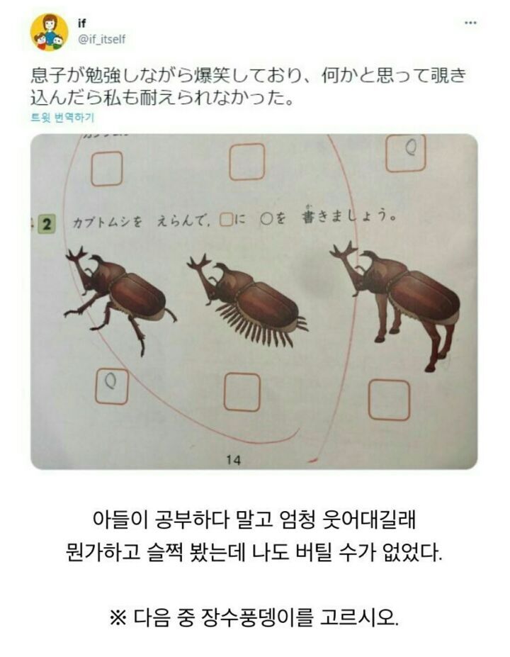 아들이 공부하다 말고 빵 터진 이유 | 인스티즈