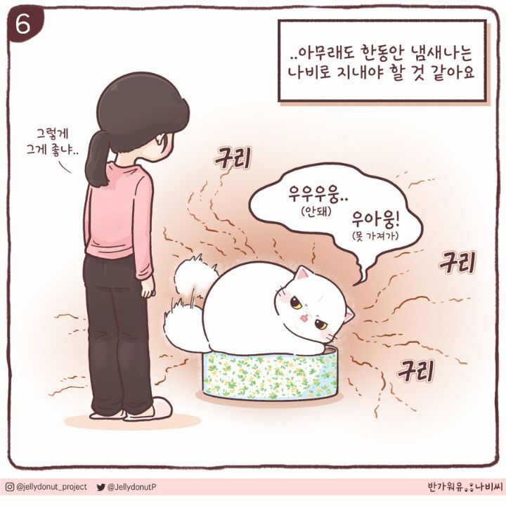 고양이에게서 지독한 냄새가 난 이유 | 인스티즈