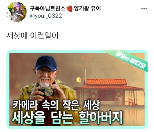 트위터에서 인기있는 호수편집 | 인스티즈