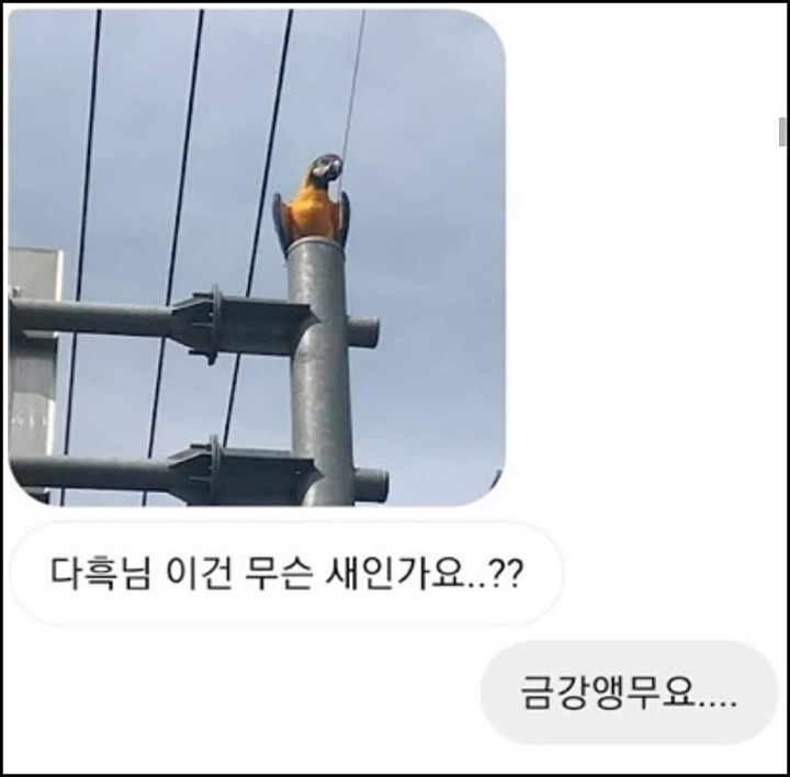 모르는게 없는 유튜버ㅋㅋㅋㅋㅋㅋ.jpg | 인스티즈