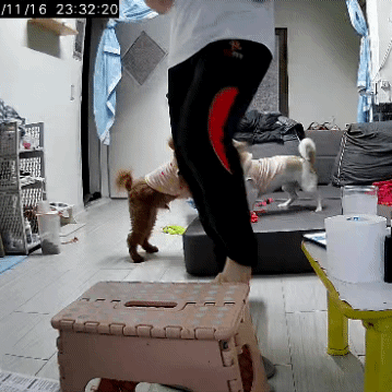 어제 동물병원 갔는데 옆테 다른 견주분이 몇살이냐고 물어보길래 26살이라고 대답했거든..? | 인스티즈