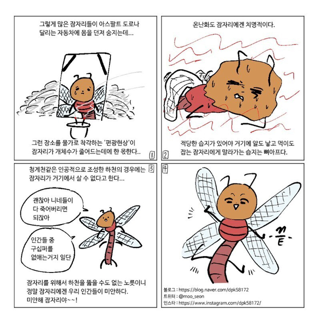 잠자리가 줄어드는 이유.jpg | 인스티즈