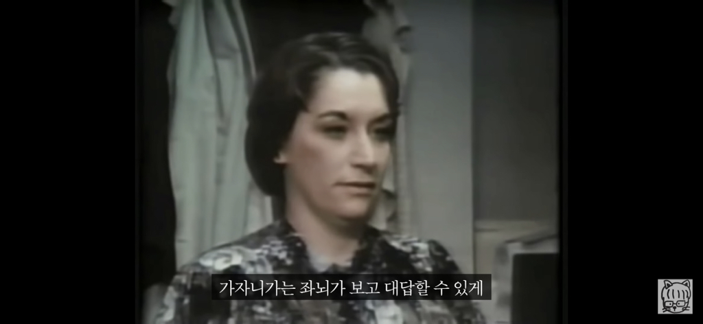 (스압)분리 뇌 실험 | 인스티즈