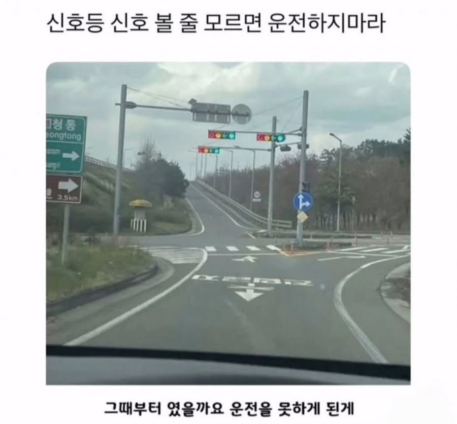 신호등 신호 볼 줄 모르면 운전하지마라 | 인스티즈