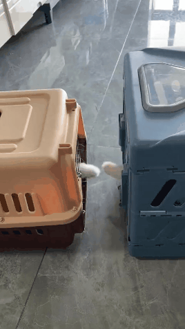 타격 1도 없는 냥냥펀치 | 인스티즈