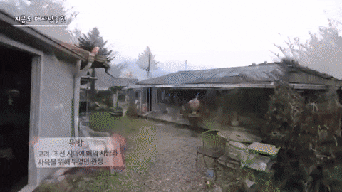 한국방송 vs 미국방송.gif | 인스티즈