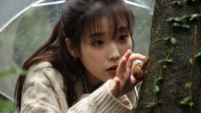 [이선희x아이유] 나무야나무 예고편 및 사진 | 인스티즈