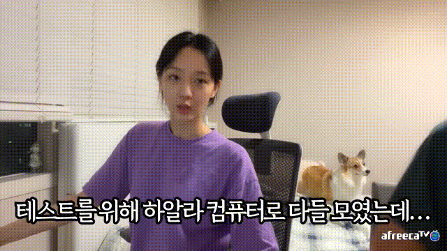 아버지한테 19금 영화 들킨 하알라 | 인스티즈