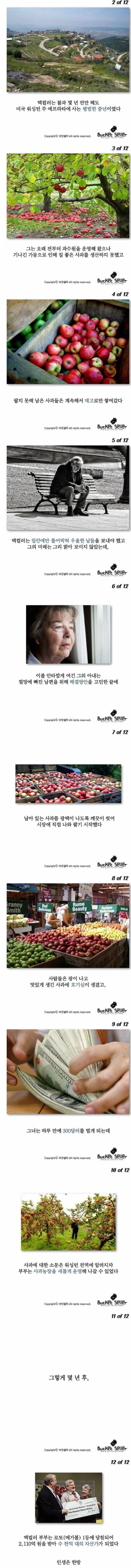 사과 농장 하던 노부부가 수천억 자산가로 된 방법 | 인스티즈