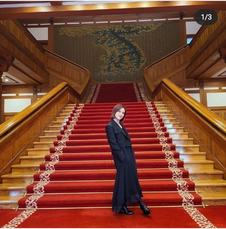 오늘자 개방된 청와대 대형 거미 출현 ㄷㄷ | 인스티즈