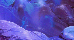 포켓몬스터 칠색조와 전설의 개들에 대해 알아보자 | 인스티즈