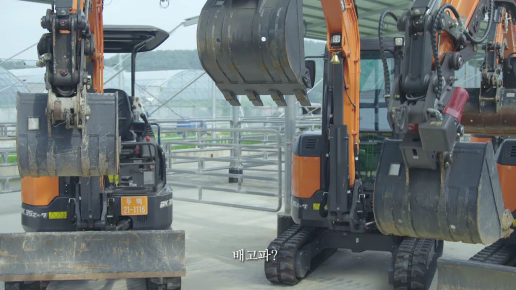배우 박정민이 찍은 HD현대 굴착기 광고 '내 땅강아지, 대발이' | 인스티즈