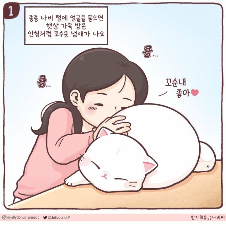 고양이에게서 지독한 냄새가 난 이유 | 인스티즈