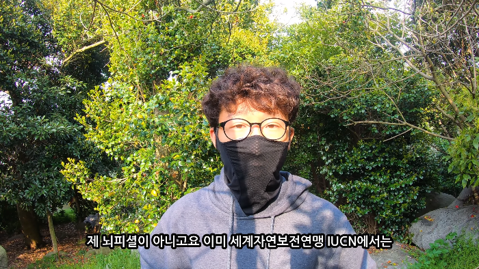 [사진100장스압] 고양이가 자연생태계에 끼치는 심각한 영향 | 인스티즈