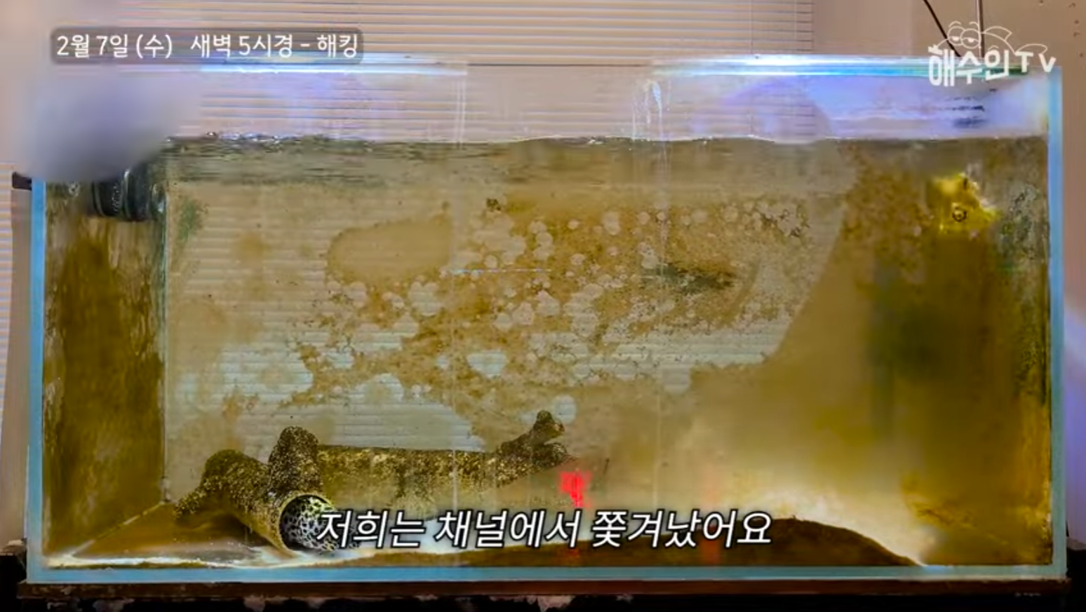 유튜브 계정이 3번이나 해킹 당한 이유 | 인스티즈