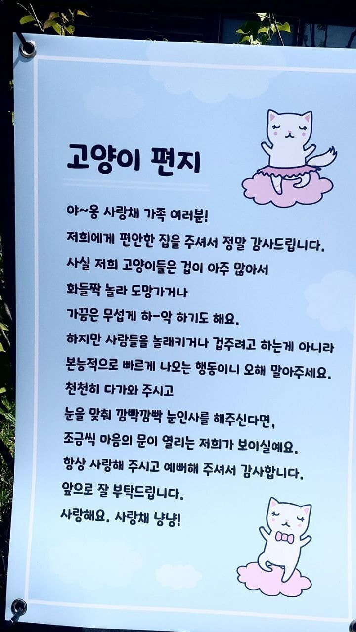 경남의 한 아파트의 길고양이 집.jpg | 인스티즈