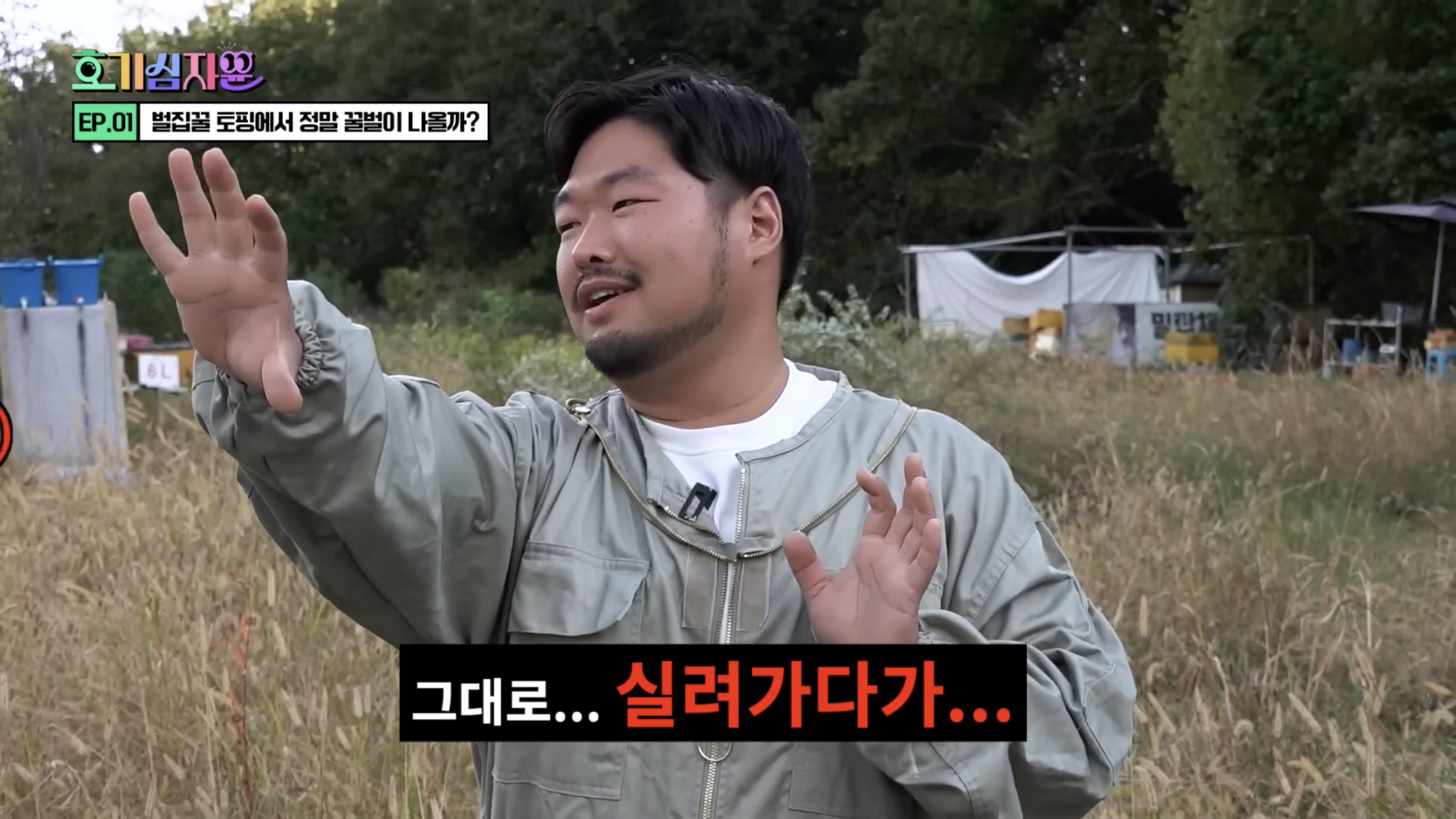 요거트 아이스크림 벌집꿀에서 나오는 벌의 정체............jpg | 인스티즈