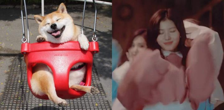 도지코인 닮은 아이돌 ㄷㄷㄷ.JPGIF | 인스티즈
