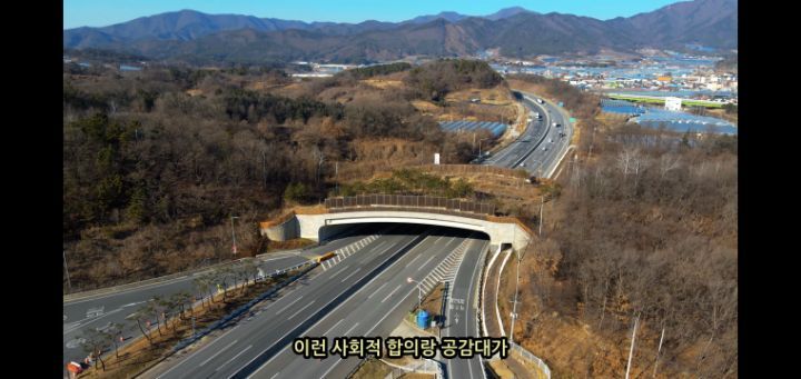 도로 위 야생동물 생태통로를 이용하는 동물들.jpg | 인스티즈
