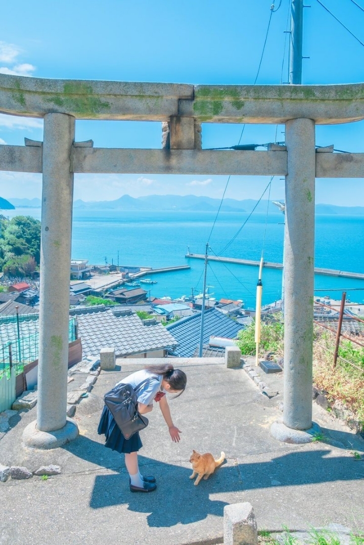 애니메이션 배경풍 사진 찍는 일본 여고생들 | 인스티즈