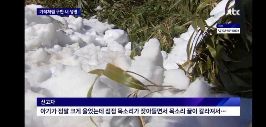 한파에 버려진 갓난아기 | 인스티즈