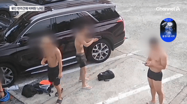 CCTV 공개된 거제 비비탄 노견 사망 사건.gif | 인스티즈