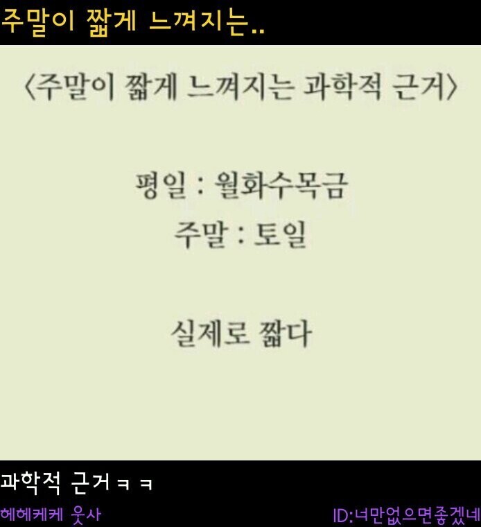 주말이 짧게 느껴지는 이유 | 인스티즈