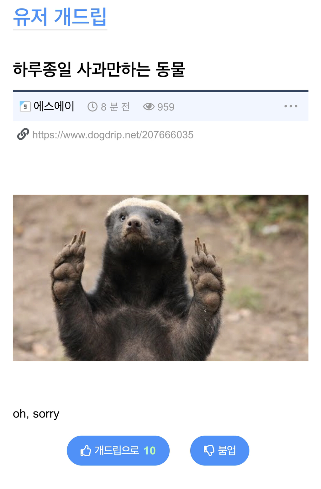 하루 종일 사과만 하는 동물 - 웃긴자료 ‥‥‥‥‥、 - 도탁스 (DOTAX)