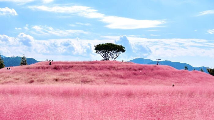 그렇게 꺼지라고 했는데 막상 그리운 녀석.. | 인스티즈