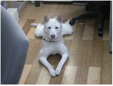 da09802a0fcf9764f37aa1b84c39ba6931118f19