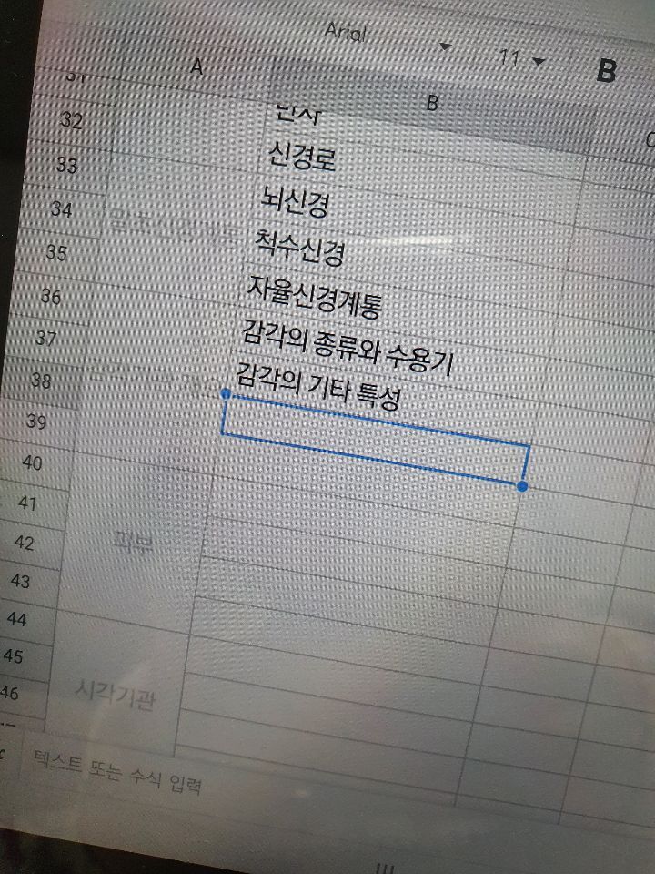 스프리드 이미지