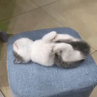 특이하게 자는 녀석.gif | 인스티즈