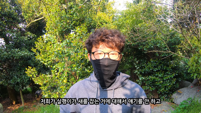 [사진100장스압] 고양이가 자연생태계에 끼치는 심각한 영향 | 인스티즈