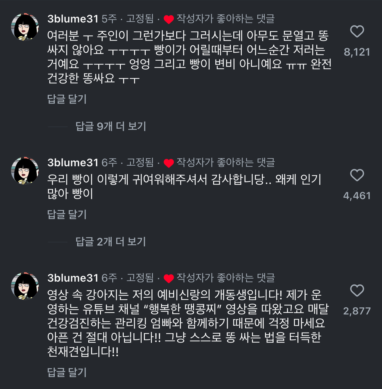 댕댕이의 쾌변 방법 | 인스티즈