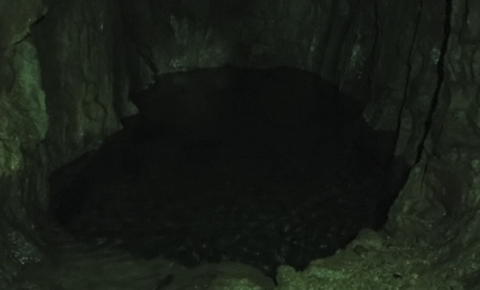 기안 84로 추측되는 고대 원시 인간이 복어를 먹게된 이유.jpg | 인스티즈