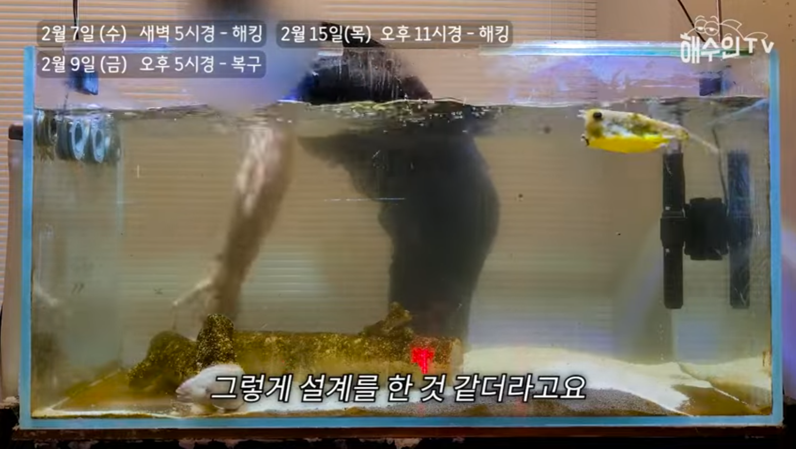 유튜브 계정이 3번이나 해킹 당한 이유 | 인스티즈