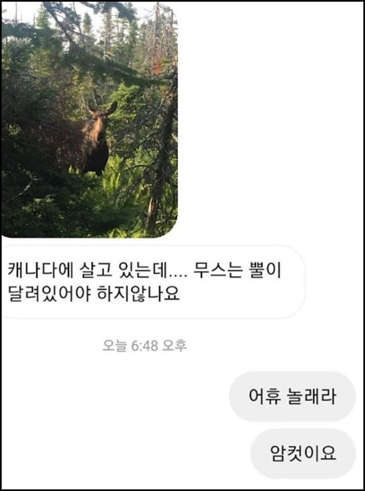 모르는게 없는 유튜버ㅋㅋㅋㅋㅋㅋ.jpg | 인스티즈