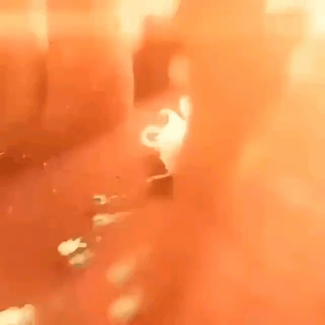 박테리아 추적하는 면역세포 ㄷㄷ.gif | 인스티즈