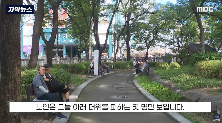 드디어 탑골공원 정상화 | 인스티즈