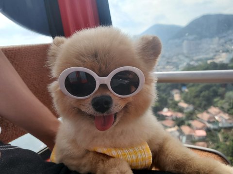 보고싶은 우리 맥주 | 인스티즈