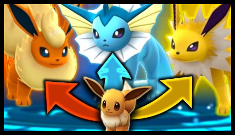 한국의 이브이 세쌍둥이 자매 | 인스티즈