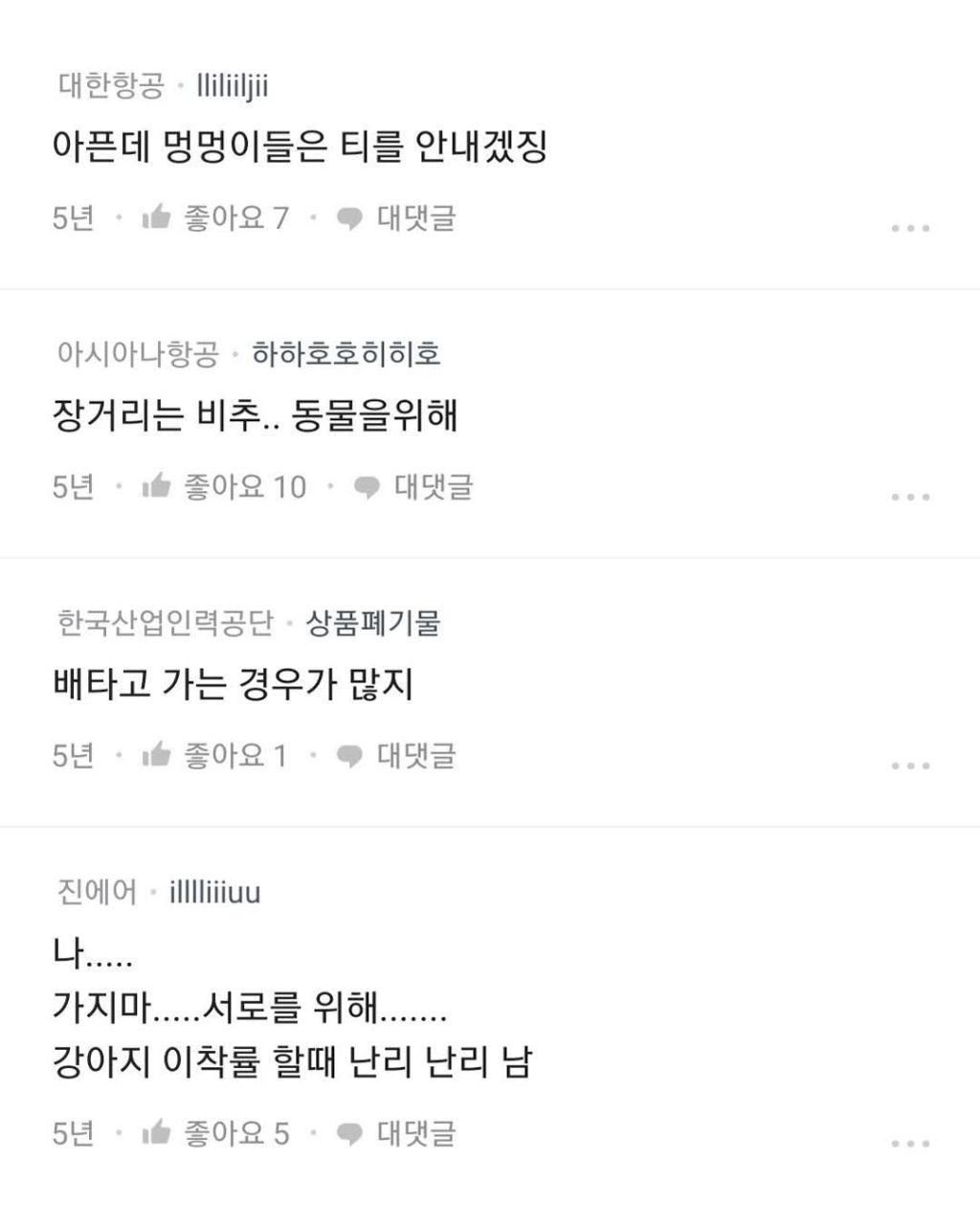 반려동물과 해외여행 욕심이다?아니다? | 인스티즈