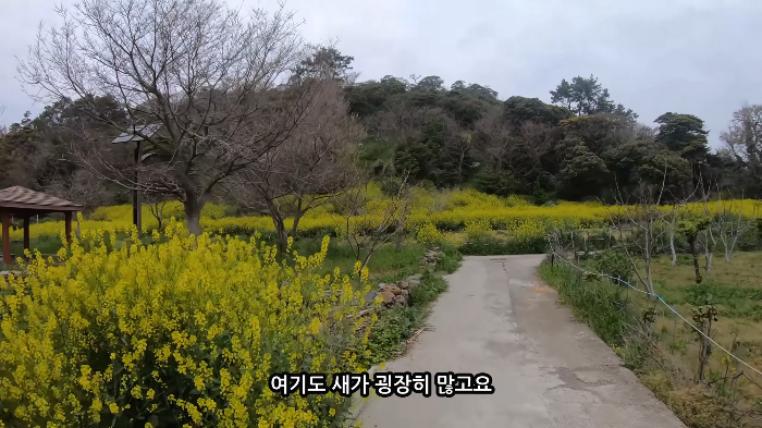 [사진100장스압] 고양이가 자연생태계에 끼치는 심각한 영향 | 인스티즈
