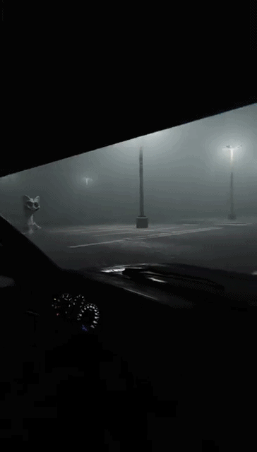 (혐오주의) 공포의 고양이 | 인스티즈