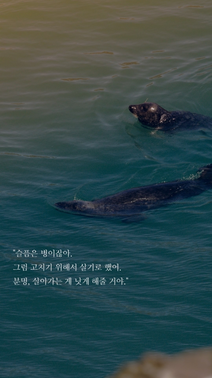 보노보노 명대사 | 인스티즈